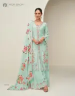 Aashirwad Hidaya-10408